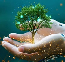 Sustainability Management