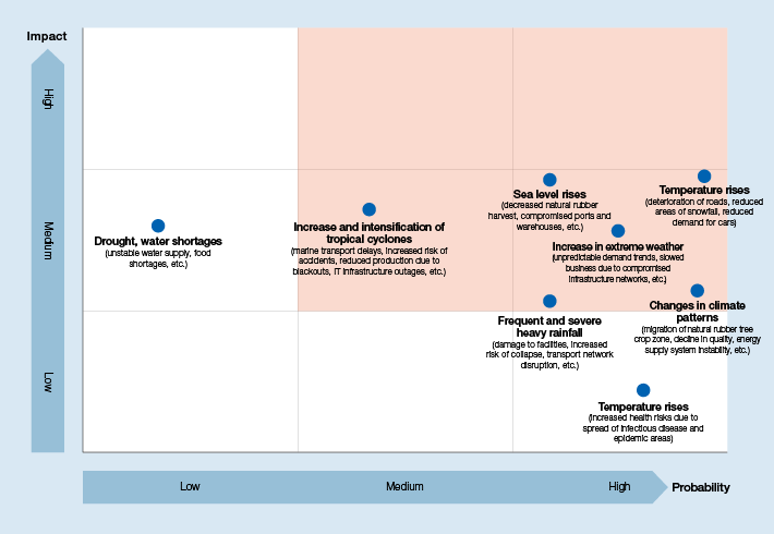 Baseline Scenario: Risk (Medium-term) Significance Assessment