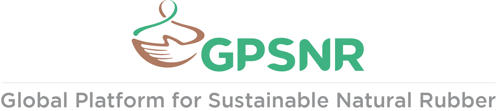 GPSNR